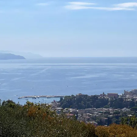 Altido Renata San Massimo (Liguria)